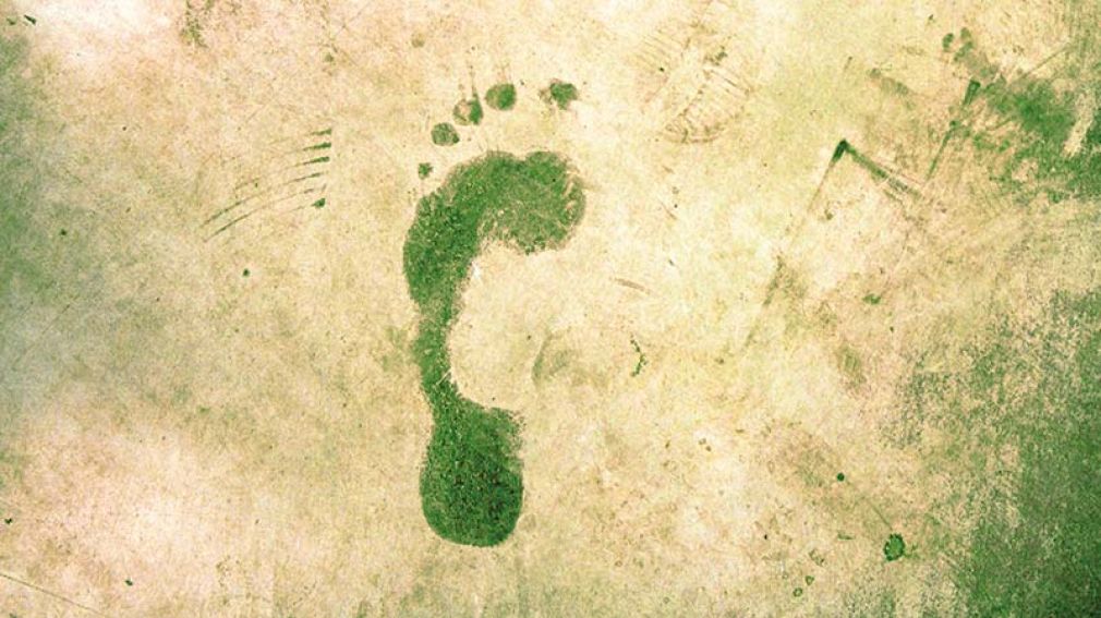 Facts: Zahlen aus der Welt der IT