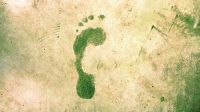 Facts: Zahlen aus der Welt der IT