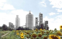 Lafarge und Holcim trennen sich im Zuge der Fusion von wesentlichen Unternehmensanteilen. Das Zementwerk in Mannersdorf bleibt entgegen den ursprünglichen Plänen davon unberührt.