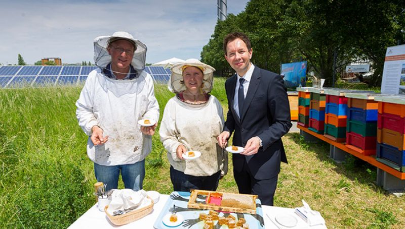 Wien Energie Geschäftsführer Karl Gruber (rechts) und Stadtimker Felix Munk präsentieren am 23.5.2016 das Bienenschutzprojekt beim BürgerInnen-Solarkraftwerk Liesing.