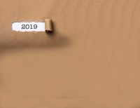 Energie: Aussichten und Erwartungen für 2019