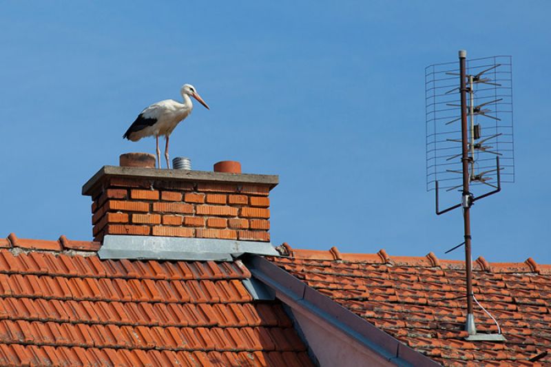 austrian brick and  roof award 2016