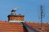austrian brick and  roof award 2016
