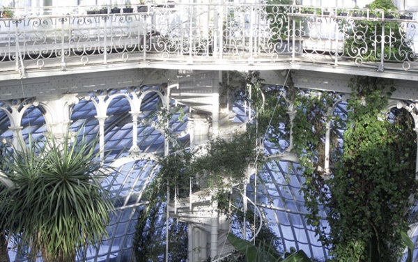 Foto: Palmenhaus