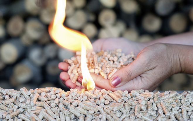 Bioenergie ist heute eine tragende Säule der heimischen Energieversorgung.