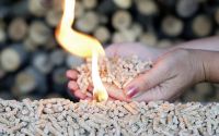 Bioenergie ist heute eine tragende Säule der heimischen Energieversorgung.