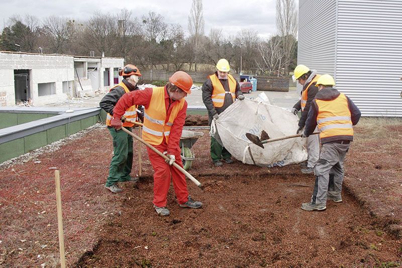 Foto: Ein Gründach. von etwa 3.000 m² wird für Re-Use vom Flachdach entfernt und in Big-Bags gelagert.