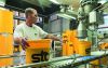 Investitionen in ein Humusaufbau-Projekt kompensieren die CO2-Emissionen bei der Produktion von Sto-Produkten.