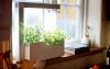 Foto: Indoorgarden.fi