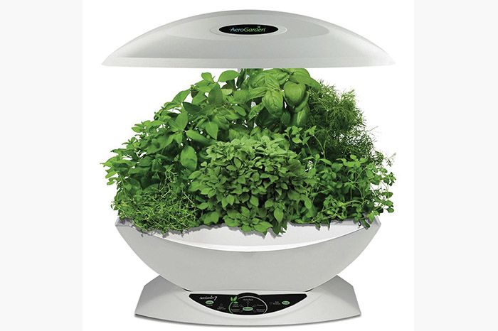 Cool Stuff: rachio – sprinkler &amp; aero garden