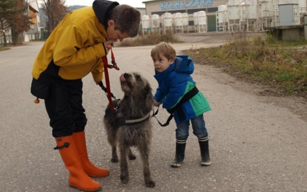 Cegelec spendet sein Weihnachtsbudget 2014 an den Verein Partner-Hunde Österreich.