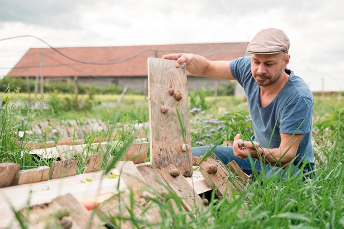 Kulinarisches Erbe. Für seine innovative Landwirtschaft wurde &quot;Schneckenkönig&quot; Gugumuck mehrfach ausgezeichnet. 