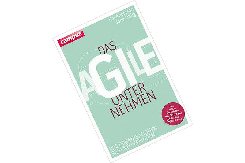 Kai Anderson, Jane Uhlig: Das agile Unternehmen. Wie Organisationen sich neu erfinden.