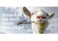 Schenken mit Sinn